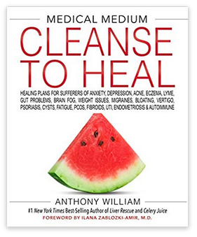 Cleanse to Heal best seller